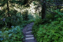 2020-08-09_Lechweg_067