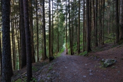 2020-08-10_Lechweg_119