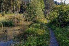 2020-08-11_Lechweg_155