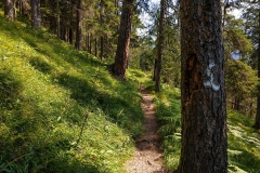 2020-08-11_Lechweg_176