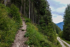 2020-08-13_Lechweg_244