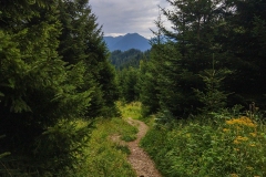 2020-08-13_Lechweg_247