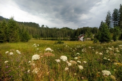 2020-08-13_Lechweg_249