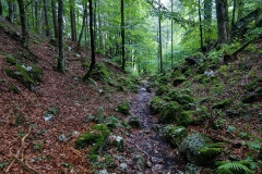 2020-08-13_Lechweg_265