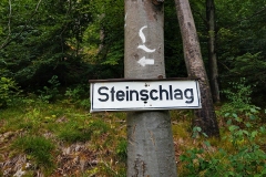 2020-08-13_Lechweg_269