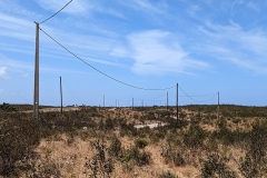 PXL_20220620_113742658