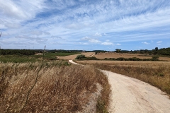 PXL_20220620_125046196