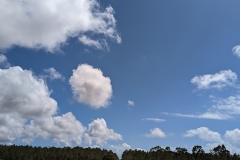PXL_20220618_151431007