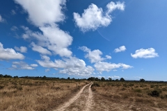 PXL_20220618_153509807