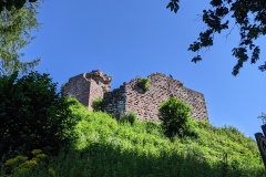 PXL_20210730_090748943