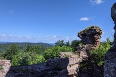 PXL_20210730_091146716