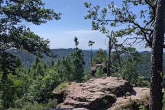 PXL_20210730_093559195