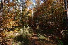 1010592small