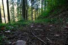 1010602small