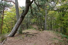 1020122