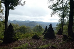 P1000750