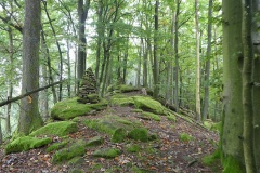 P1000757