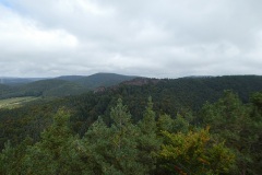 P1000761