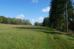 P1000795