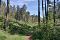 sdr