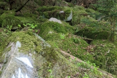 IMG_20200424_095022
