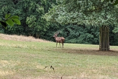 IMG_20200829_121426