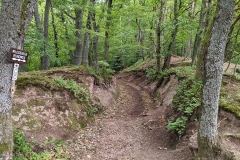 IMG_20200829_122517