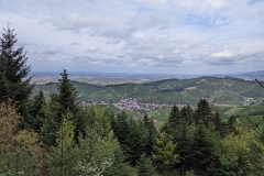 PXL_20201009_112228395