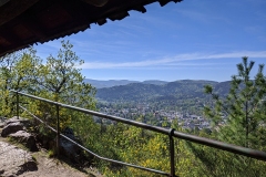 IMG_20200415_111418