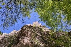 IMG_20200415_114439