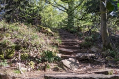 IMG_20200415_120949