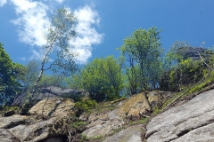20170521_142215