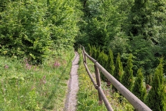 IMG_20200515_095524