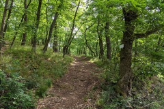 IMG_20200515_101547