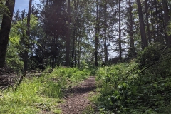 IMG_20200515_111445