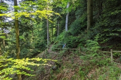 IMG_20200515_113819