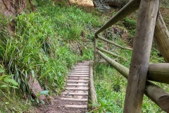 IMG_20200515_114025