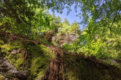 IMG_20200515_114242