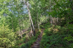 IMG_20200515_124637