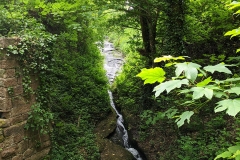 MVIMG_20200515_095825