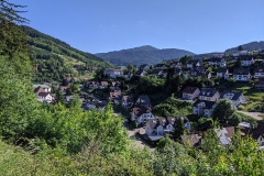 IMG_20200529_093132
