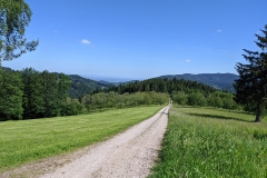 IMG_20200529_101431