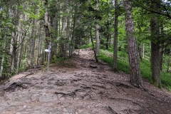IMG_20200529_150840