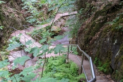 IMG_20200529_160715