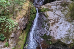 IMG_20200529_161112
