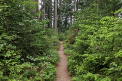 IMG_20200529_163816