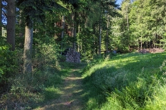 IMG_20200601_095233