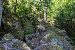 IMG_20200601_112348