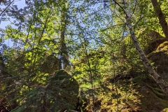 IMG_20200601_112438