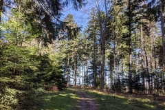 PXL_20210329_092919308